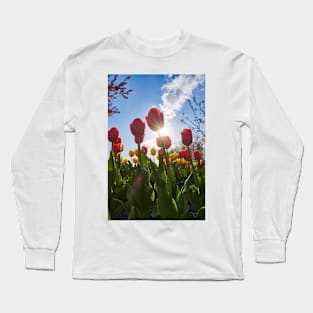 Various tulips in the park Long Sleeve T-Shirt